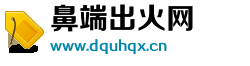 鼻端出火网 鼻端出火网